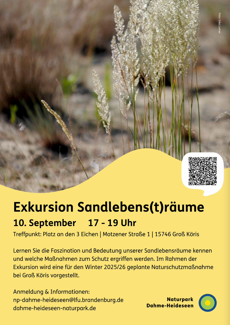 Exkursion im Naturpark Dahme-Heideseen: Sanddünen, Trockenrasen und Naturschutz hautnah, Schenkenländchen Exkursion im Naturpark Dahme-Heideseen: Sanddünen, Trockenrasen und Naturschutz hautnah, Schenkenländchen